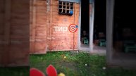 тир🎯