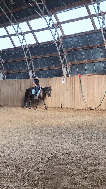 Ульяна и Наоми, подготовка к стартам, рысь в манеже.