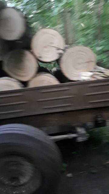 Готовь дрова - летом !!!