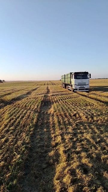 Работаем 2025 😉🌾🌾🤙