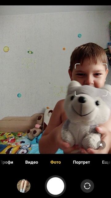 пет шарпей