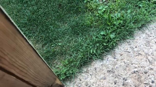 Мопеды сериал | Серия 1419