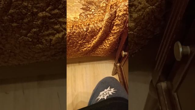 апокалипсис брейнротов 2 серия