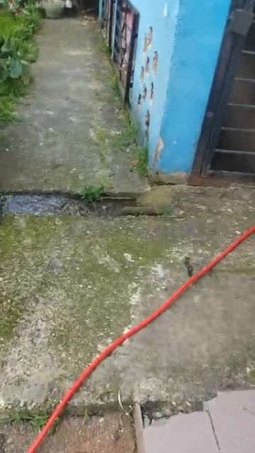 Голубые дали, 19