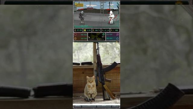 карманная зона *типичный день*