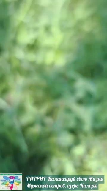 Путешествия со смыслом с Еленой Голуб и Германскими словянами. Ретрит-тур к оз.Кимзее в альп.Баварию