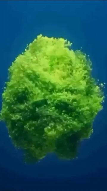 30 секунд зеленого шума – и ваш мозг спокоен! Включите, закройте глаза, расслабьтесь. Проще не бывае