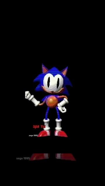 Sonic 1000 | Sega 1995