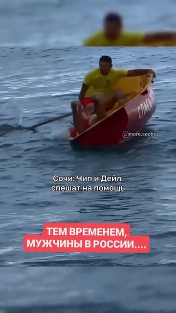 Они нас спасут 👍