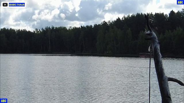 Утреннее ПЛАВАНИЕ 07.08.2025 на Светлом озере #юныйпрадедбодрыйдед #авсарх #мироша