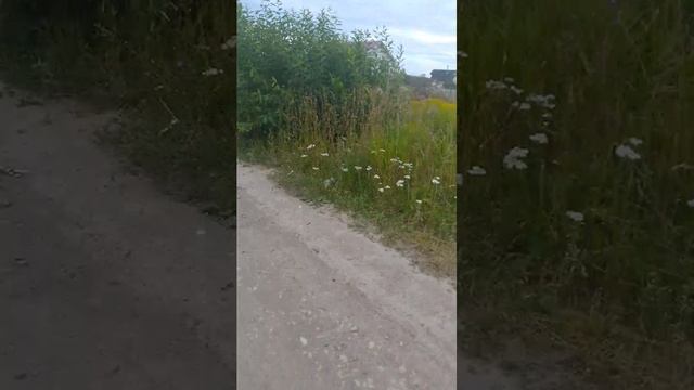 гуляем с музыкой