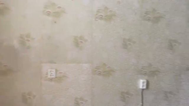 WhatsApp Video 2025-08-07 At 16.38.40