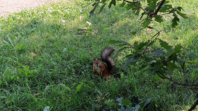 Поездка в Санкт-Петербург Часть 1
