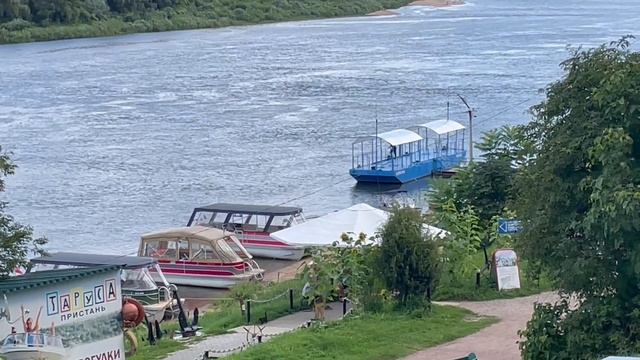 Таруса 08-08-2025