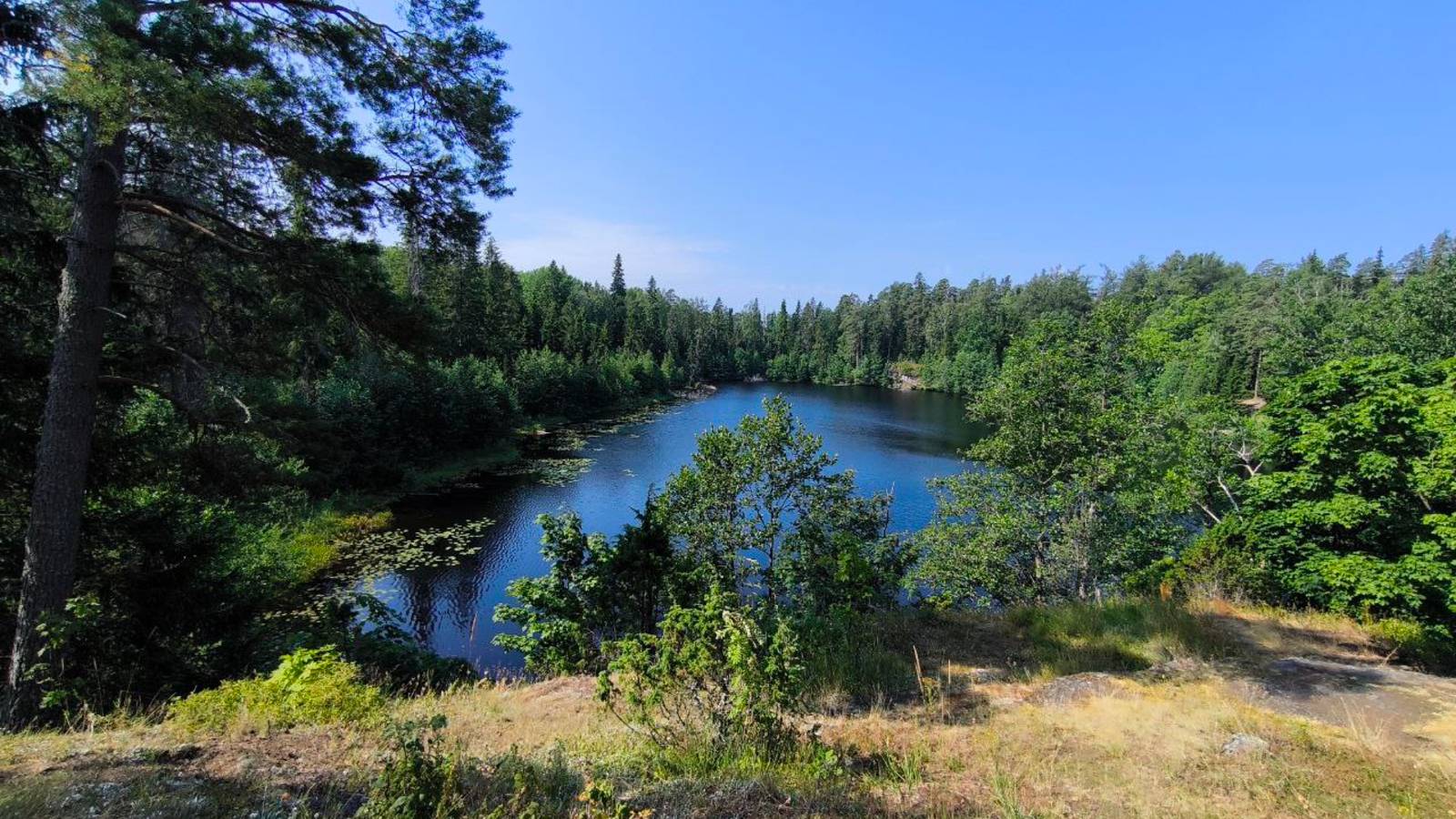 «Валаам: Когда небо и земля молчат — поёт душа» 01.08.2025