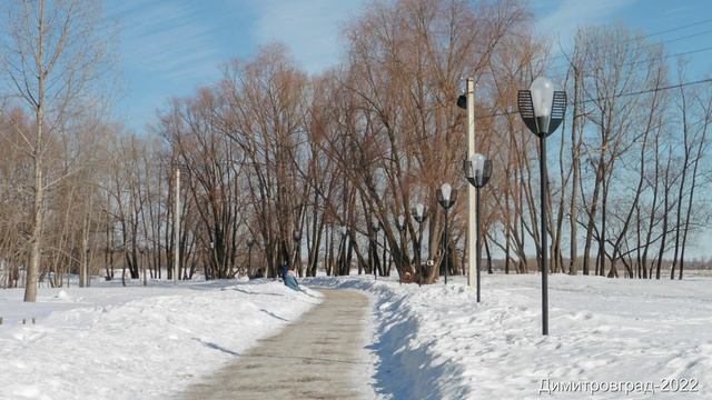 Димитровград-2022 Дубовая роща (Первомайский р-н)