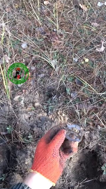 Німецький знак #история #metaldetecting #видео