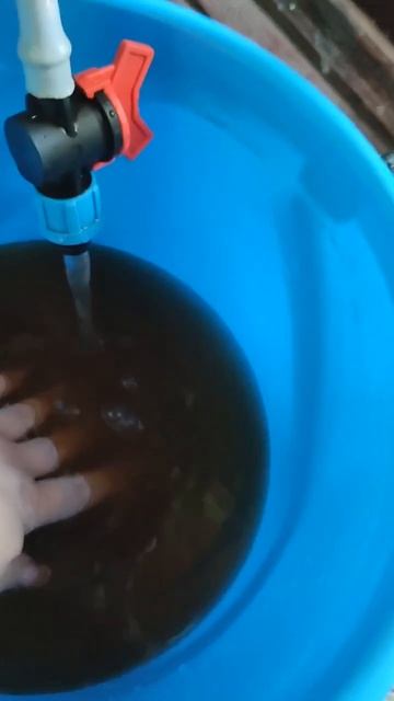 Макеевка, питьевая сегодня на Гвардейке пошла 👍