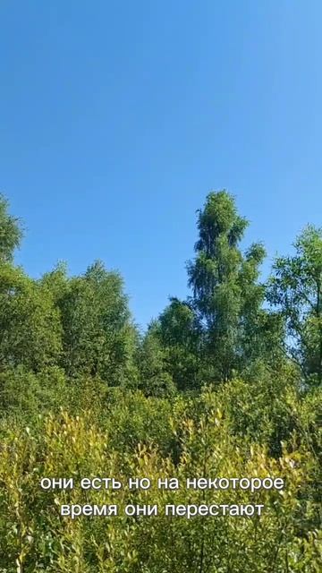 Как вернуться в равновесие