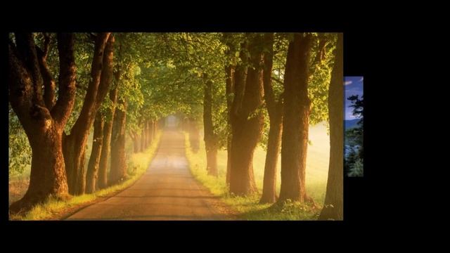 Ted Neagle - Opium Temptation