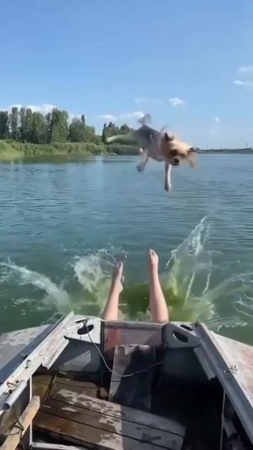 Движение вверх. ЮМОР.