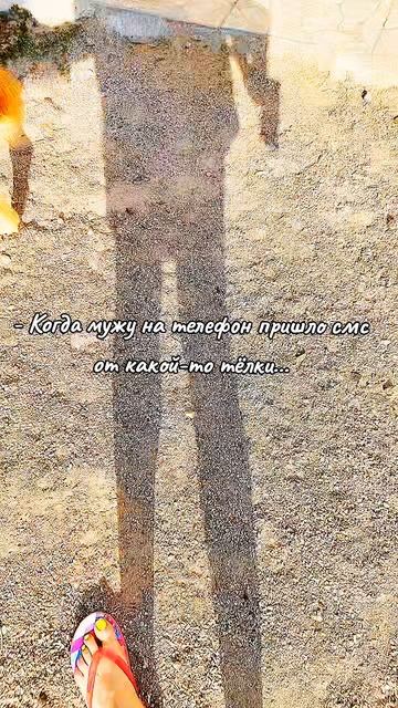 🤣🤣🤣🤣🤣🤣