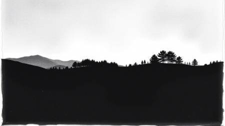 Shadows – Search