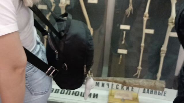 Зоологический музей Санкт-Петербург