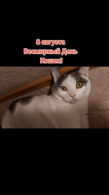 Котику Кабанчику 1 годик и 5 месяцев!