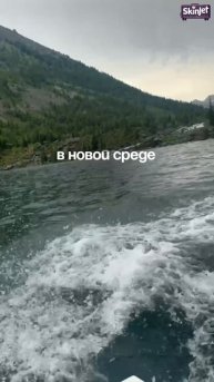 Переходите в описание 👇🏻