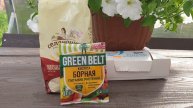 Муравьи. Просто добавь воды. Простое, эффективное средство.