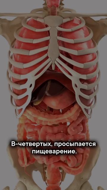 Горячая вода с утра — простой, но эффективный способ запустить тело