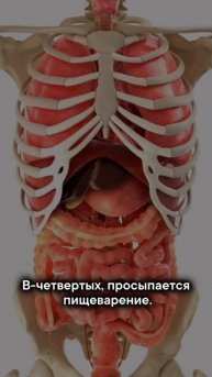 Горячая вода с утра — простой, но эффективный способ запустить тело