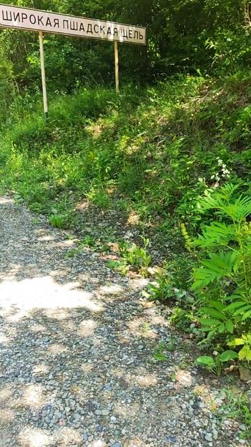 здесь ходят утки #природа #птицы #дикаяприрода #путешествия