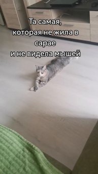 Нефтяной ребёнок Бонита 👸