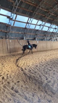 Ульяна и Наоми, подготовка к стартам, ППДА переход с галопа в рысь.