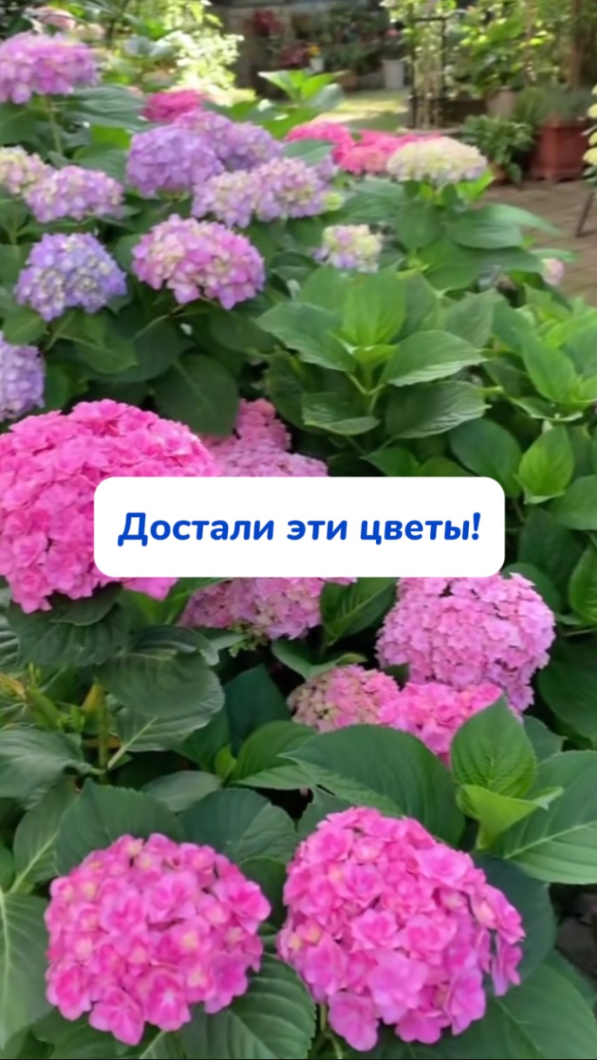 Идеальное средство для уборки - чистящая паста🫧Артикул на WB #234577722 Ozon #1664064287