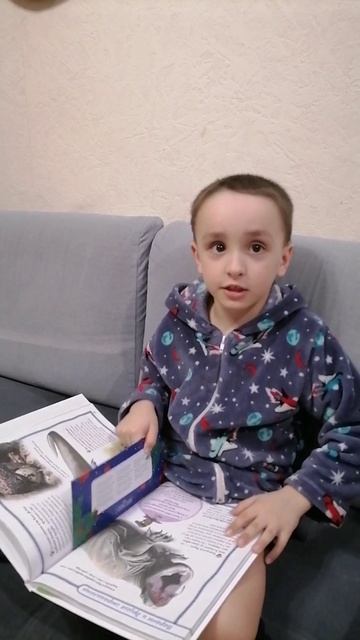 Как я читаю