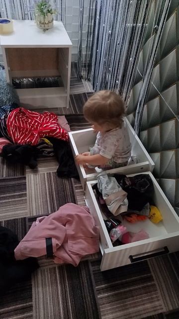 порядки наводит