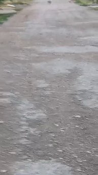 Прогулка по холодку .