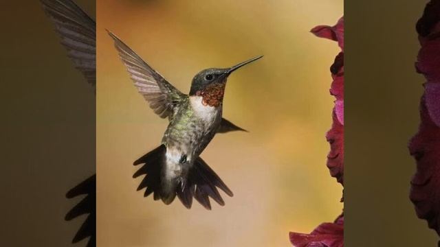 Это интересно-53