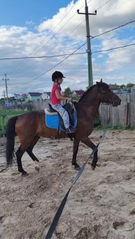 Кира и Аквилон рысь на корде на плацу.