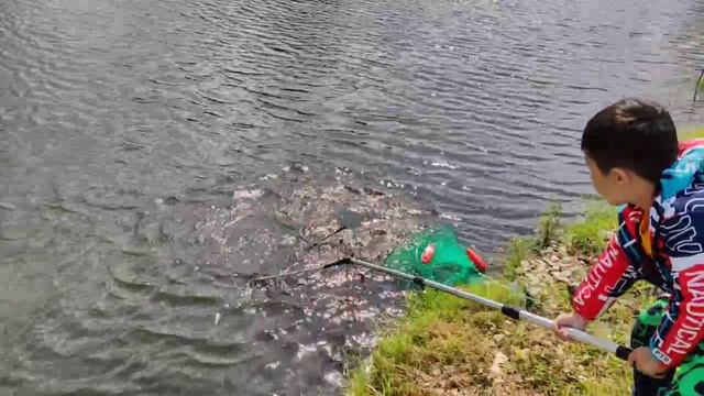 -8418722196401358413