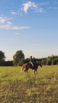Анна и Каспер галоп в поле, скоро закат.