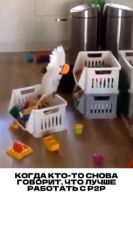 Ты уверен, что не сидишь в цепочке?