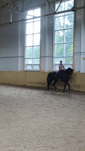 Оксана Новикова и Дольче Вита, выездные старты, Нижегородский конный праздник, заминочная рысь.