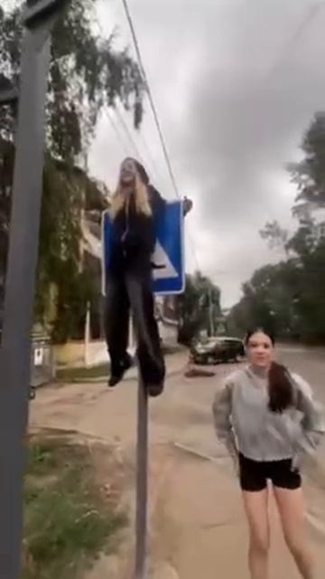 Знак дорожный упал