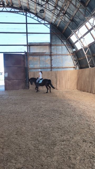 Оксана Новикова и Наоми, работа с контактом.