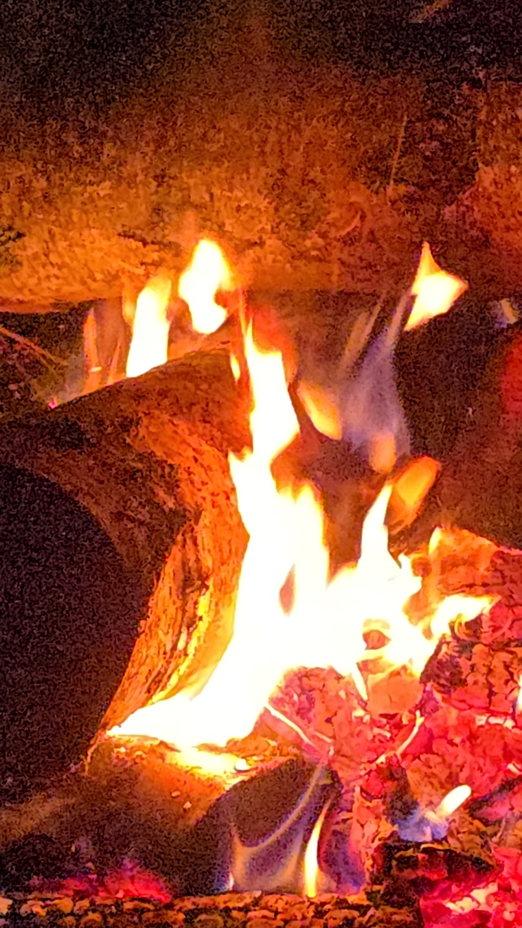 Костёр на охоте