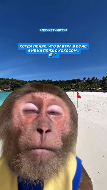 То чувство, когда улетаешь из Таиланда … 🫠Кто так же?